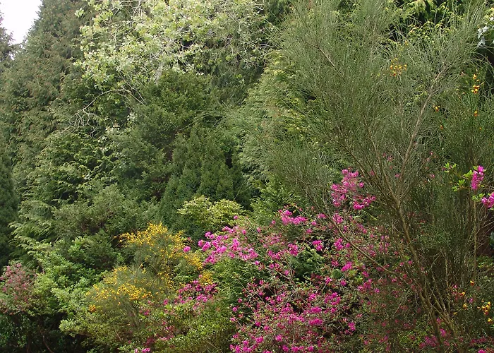 Aparthotel Quinta Santo Antonio da Serra