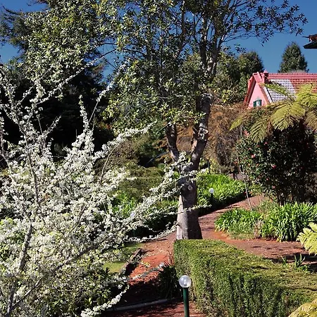 Lägenhetshotell Quinta Santo Antonio da Serra