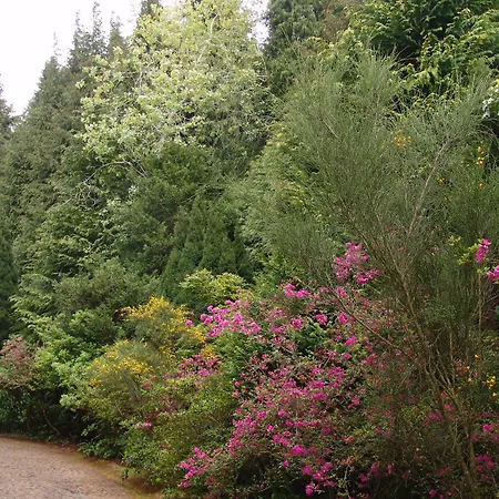 Aparthotel Quinta Santo Antonio da Serra