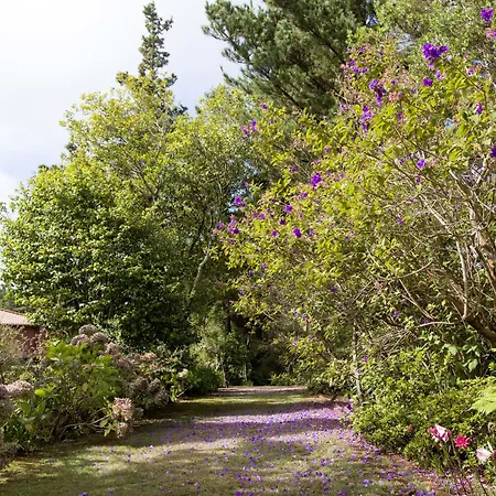 Lägenhetshotell Quinta