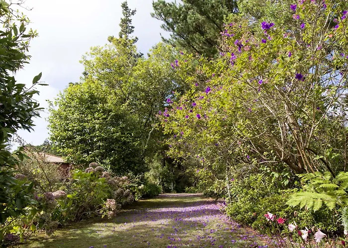 Appart hôtel Quinta